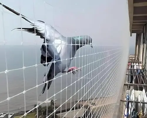 Window net installation - A1 Enterprises